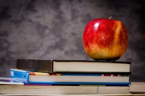 Apple on top of books 